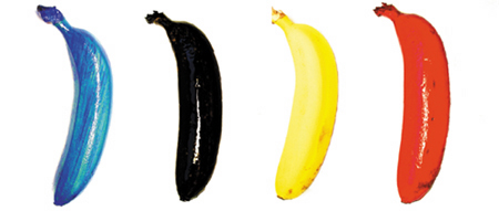 banana4.jpg